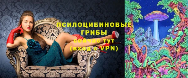 прущая мука Нея