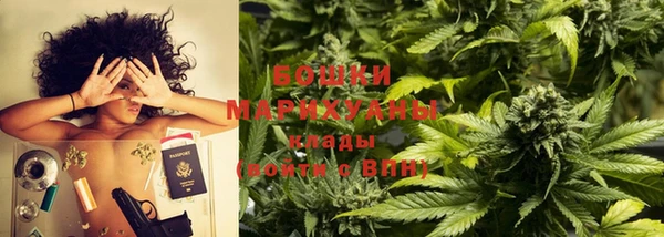 крисы Анжеро-Судженск