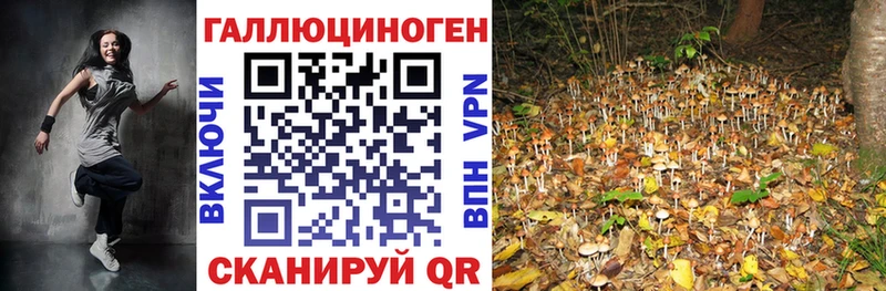 Галлюциногенные грибы мухоморы  МЕГА сайт  Советская Гавань  дарнет шоп 