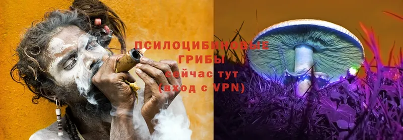 купить  цена  Советская Гавань  Псилоцибиновые грибы мухоморы 