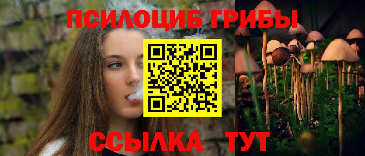 Псилоцибиновые грибы прущие грибы Советская Гавань
